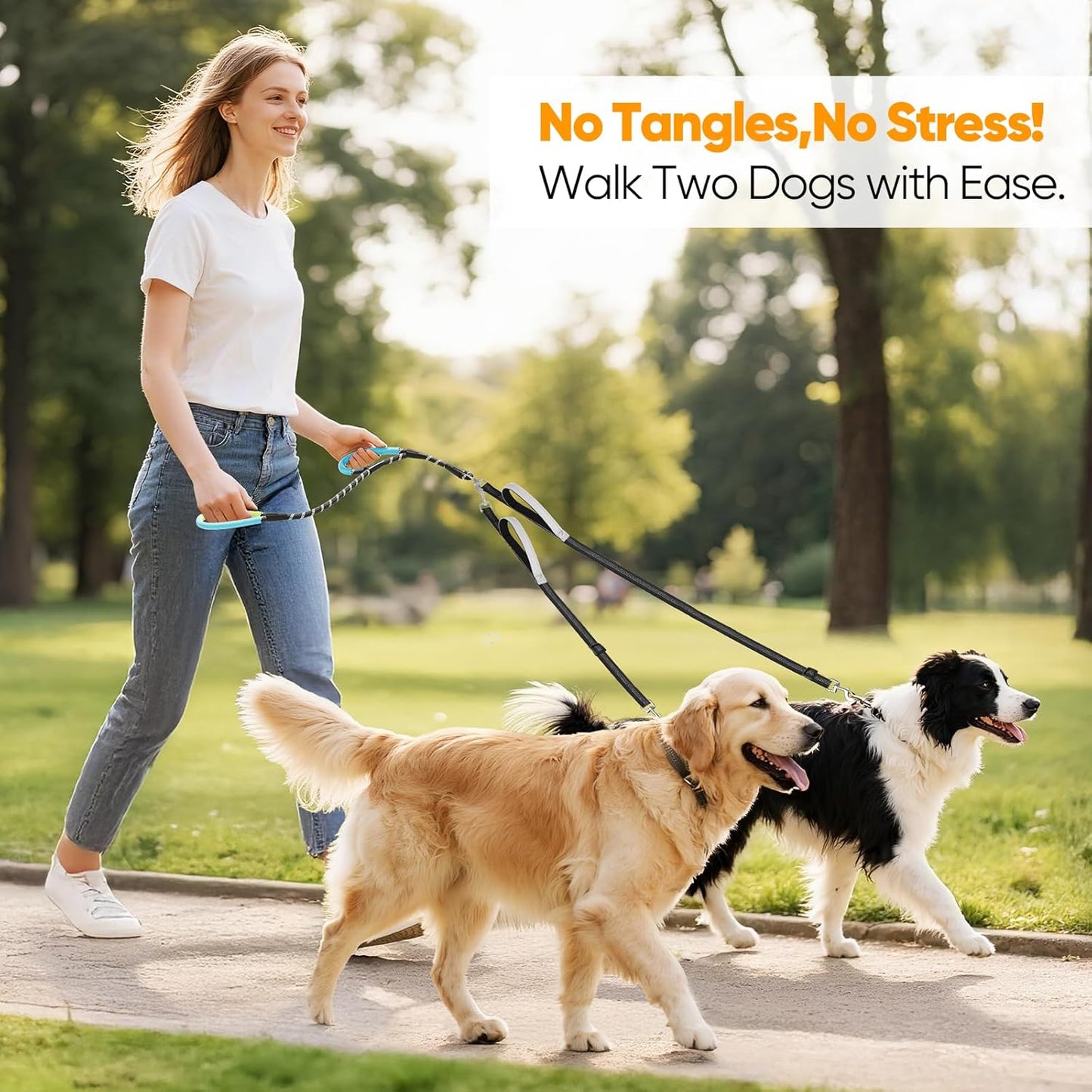 Reflective double leash for two dogs showing night visibility threading.