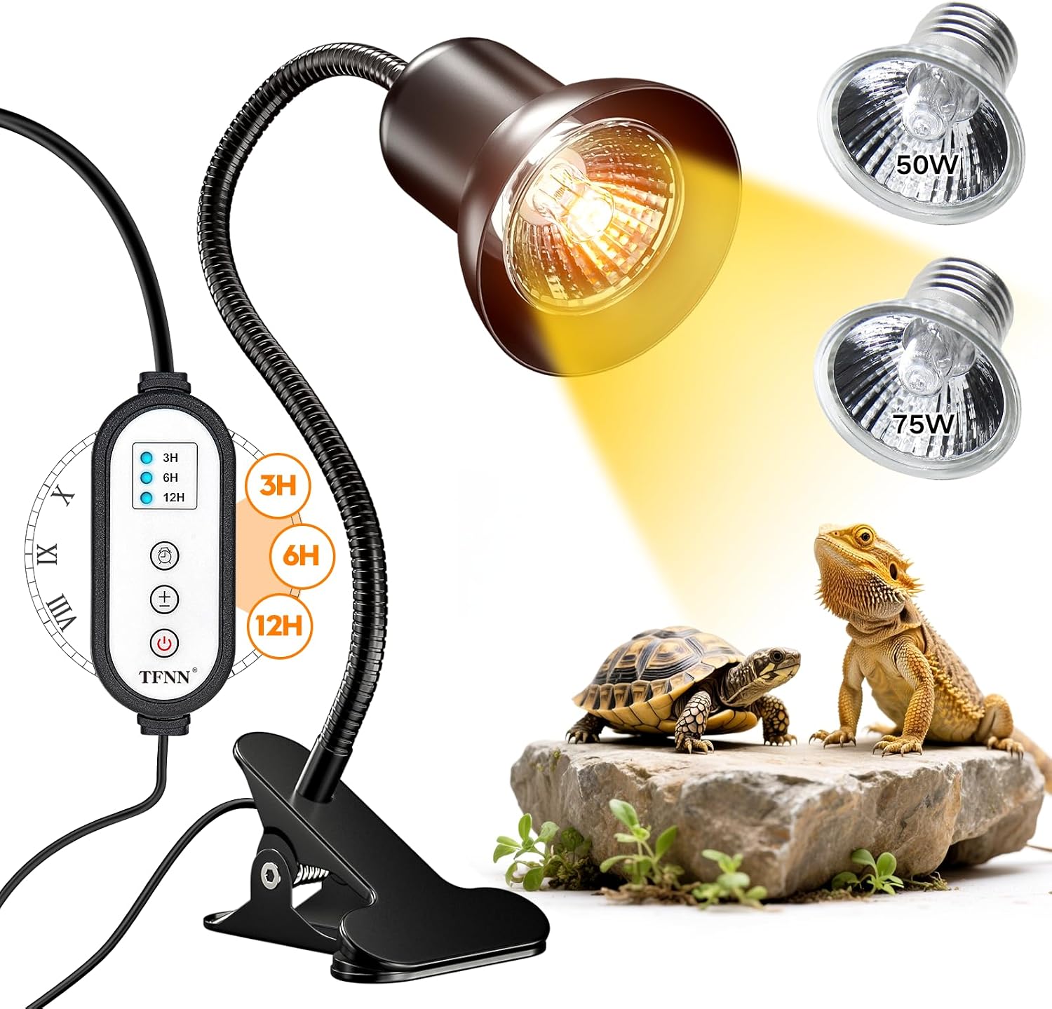 TFNN reptile heat lamp front view with dual basking bulbs