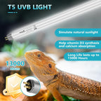Hygger Zoo Bearded Dragon UVA UVB Light Tube illuminating a desert reptile basking area.