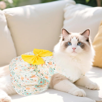 Choyaxo breathable lace dog skirt for puppy birthday parties