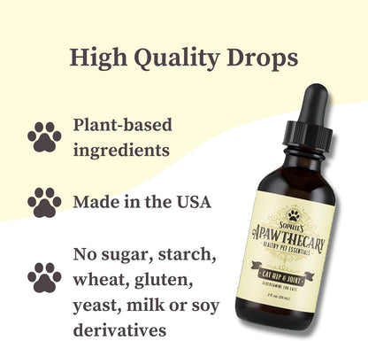 Liquid glucosamine supplement for cat joint mobility in USA bottle
