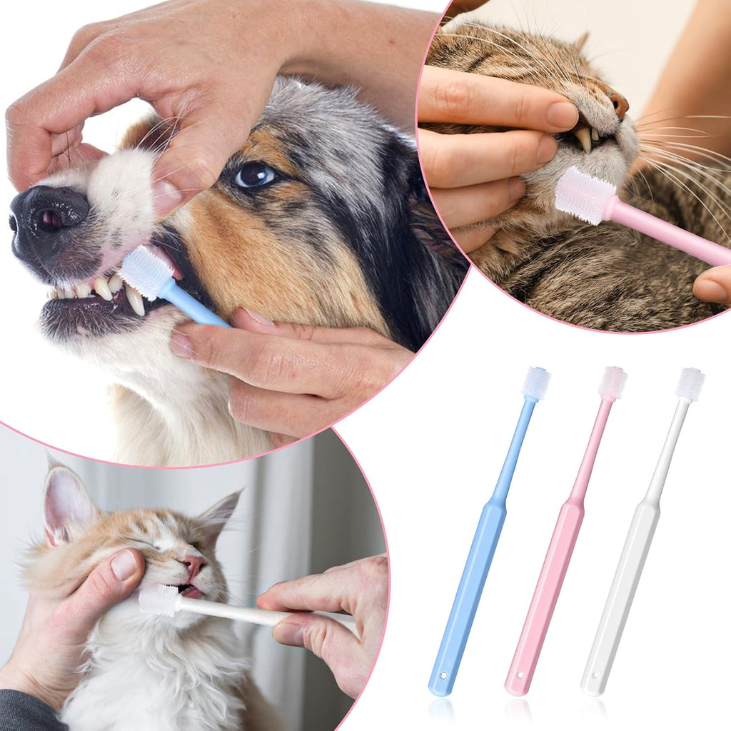 Pet owner using Wjiaaa toothbrush on a small dog
