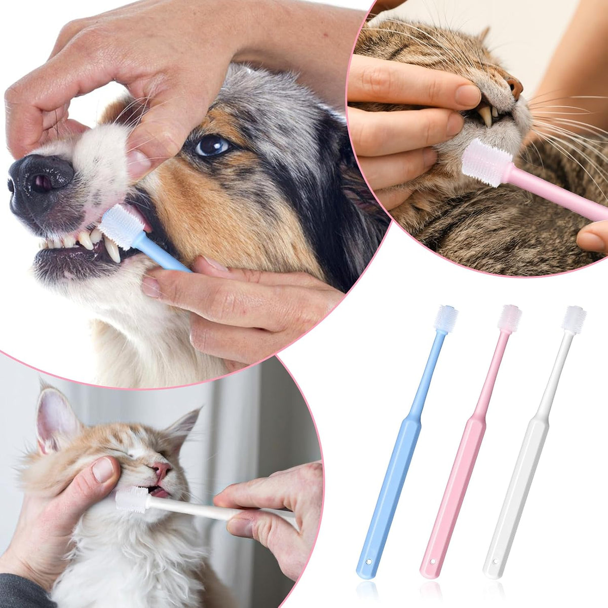 Pet owner using Wjiaaa toothbrush on a small dog