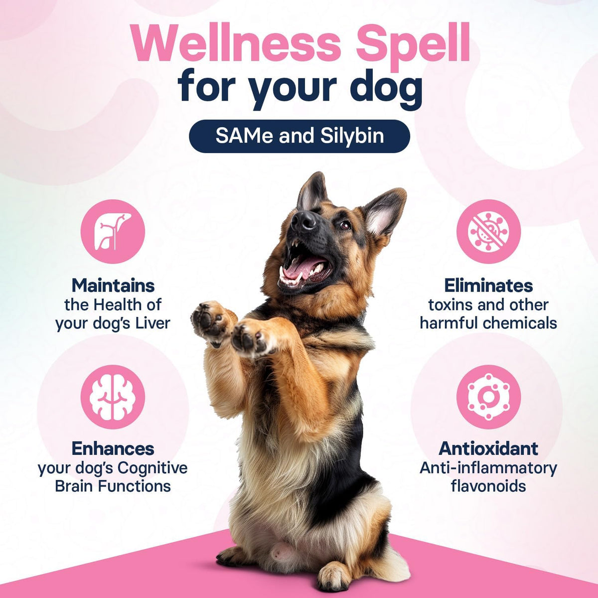 SilymarinAdvanced premium imported USA dog liver detox supplement packaging