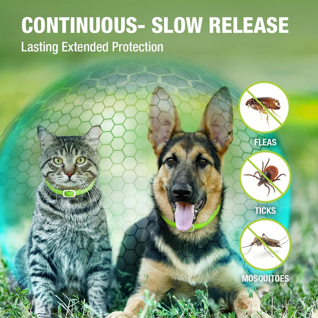 EcoVenger Flea Collars for Dogs & Cats - Flea & Tick Repellent 2-Pack Green. Built-in Pant-Based Formula Strong Repellency Slow Release, Lasting Protection, Pleasant Aroma, Waterproof - Image 4