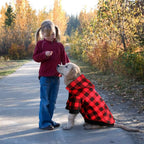 Mtliepte plaid pet hoodie back view showing kangaroo treat pocket