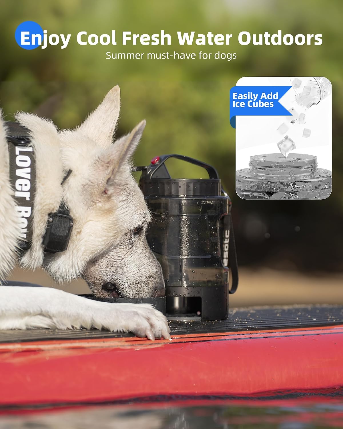 Lesotc portable pet travel jug with carabiner clip attached to a camping backpack