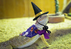 Vehomy purple and orange holiday bandanas featuring spooky seasonal graphics