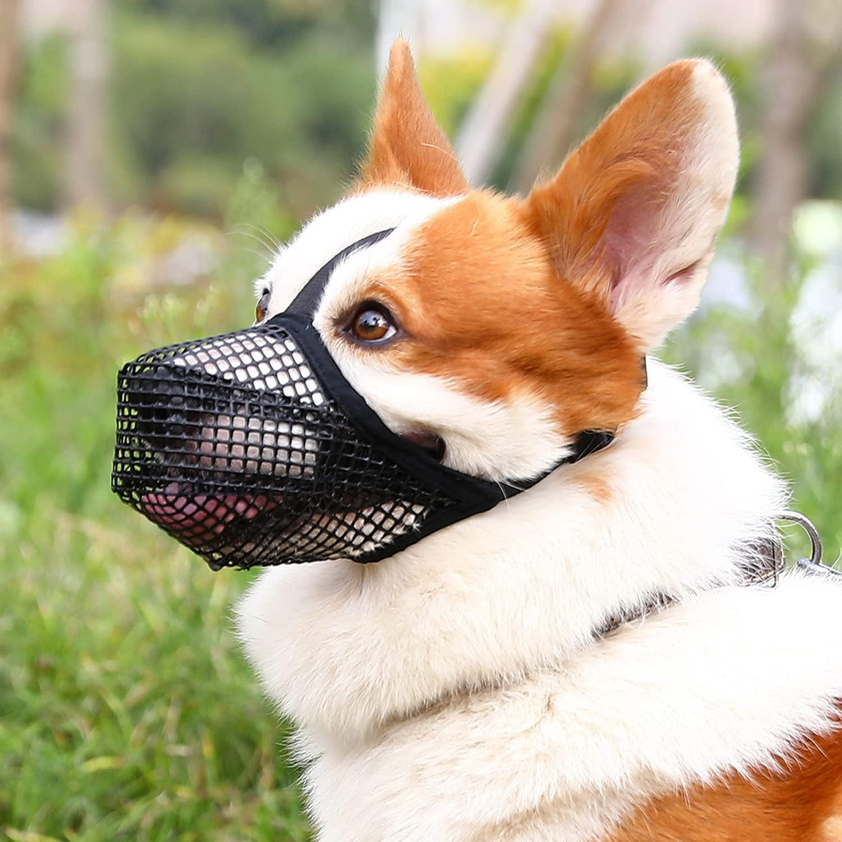 Crazy Felix dog muzzle front view showing black soft mesh material on small dog snout