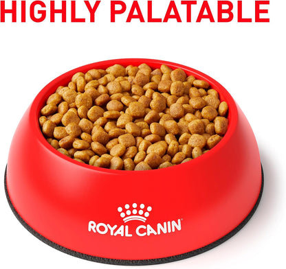 Royal Canin Veterinary Diet Canine Urinary SO 25.3 pound bag
