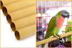 Healthy pet bird inside a cage using Okllen gravel paper bedding