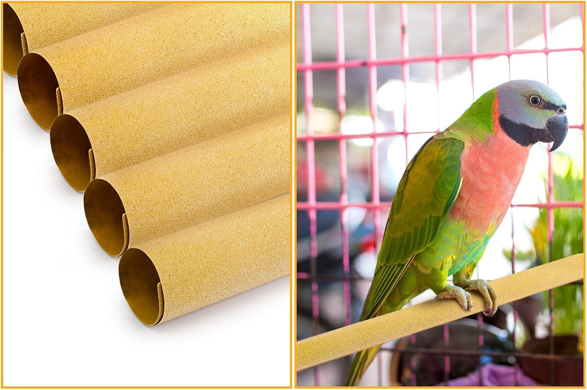 Healthy pet bird inside a cage using Okllen gravel paper bedding