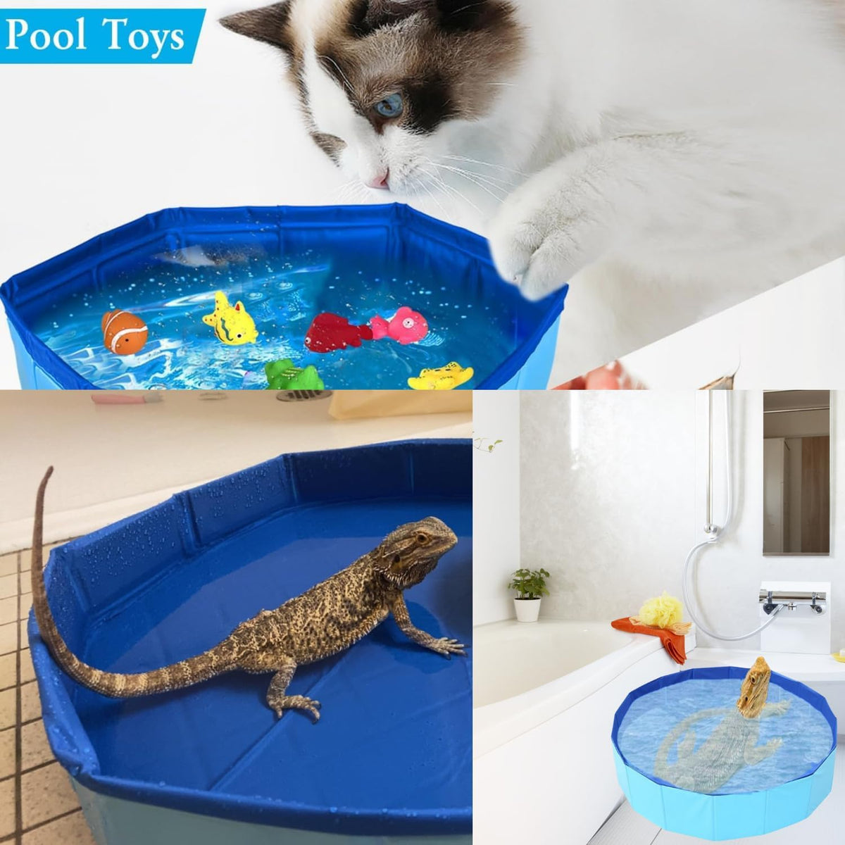 Folded compact bearded dragon bathtub for easy storage