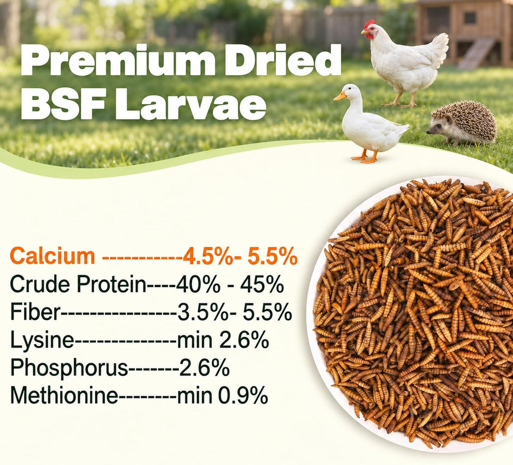5LB Dried Black Soldier Fly Larvae for Chickens, Reptiles & Birds - Image 2