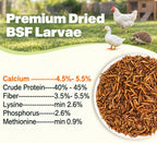 5LB Dried Black Soldier Fly Larvae for Chickens, Reptiles & Birds - Image 2