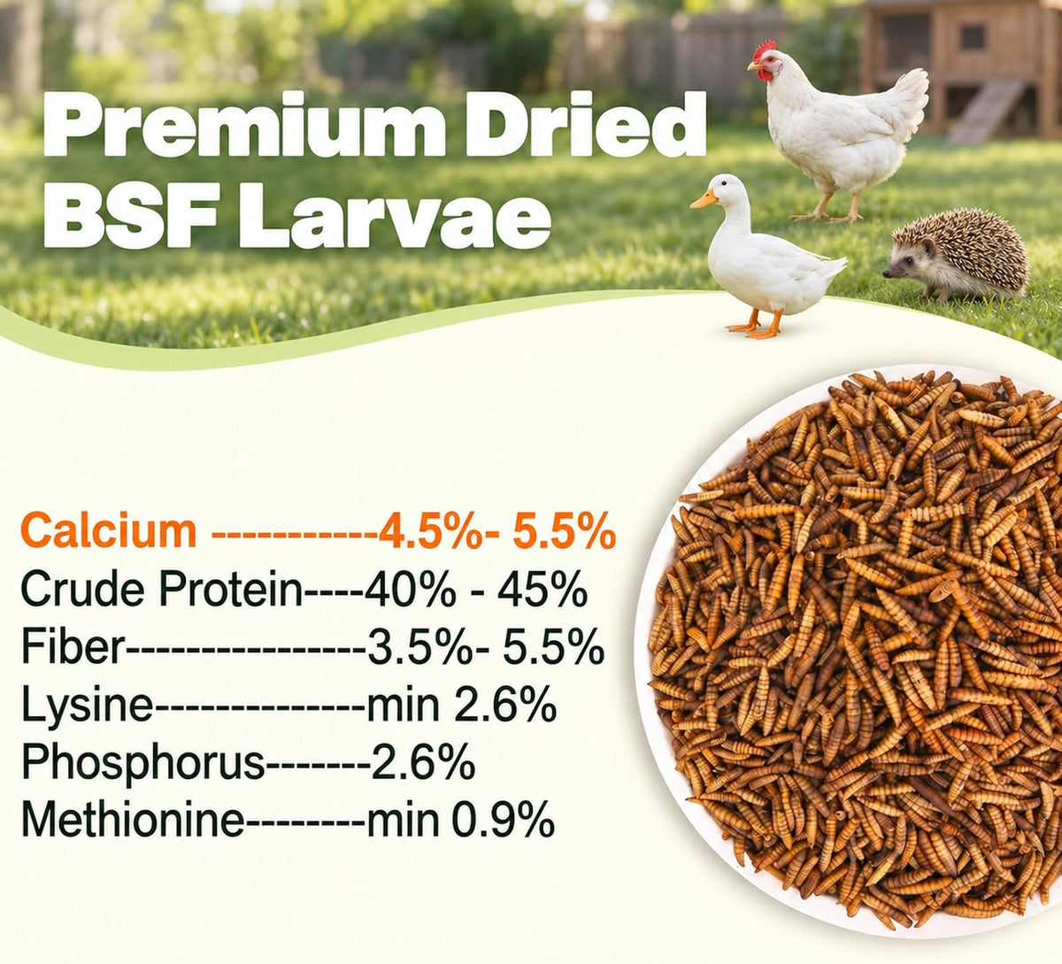 5LB Dried Black Soldier Fly Larvae for Chickens, Reptiles & Birds - Image 2