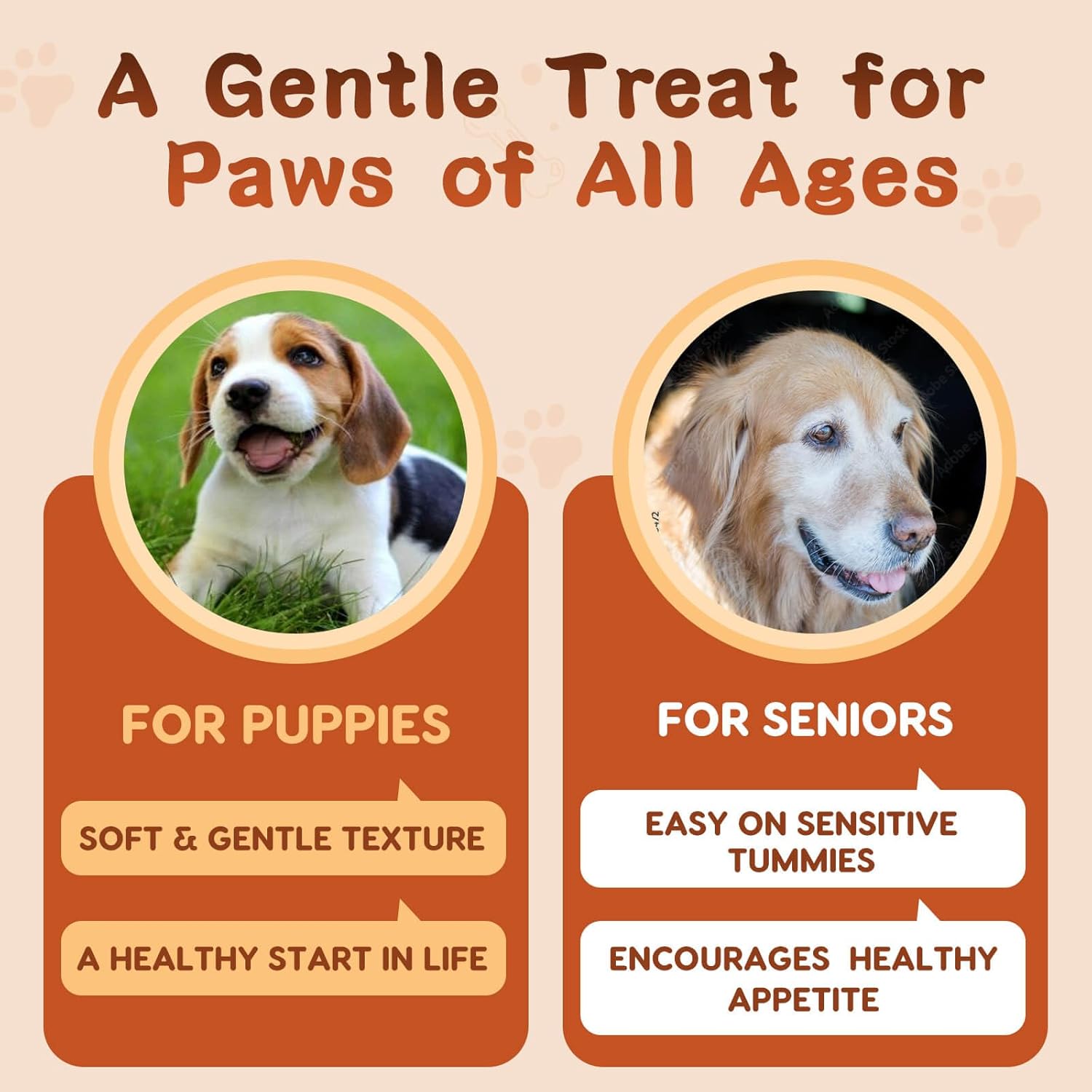 Authentic imported Zebora pet care supplement packaging for healthy coat and gut function.