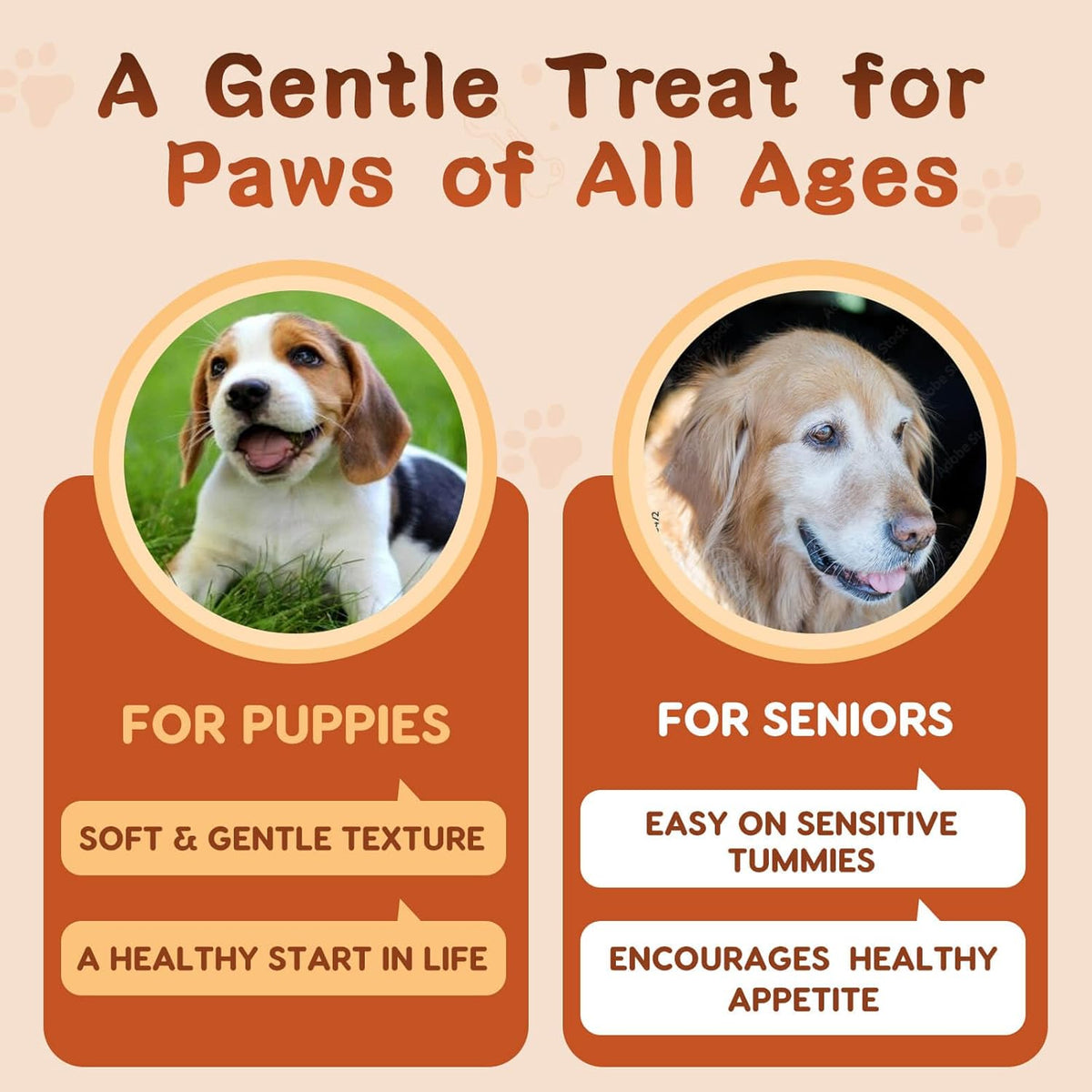 Authentic imported Zebora pet care supplement packaging for healthy coat and gut function.