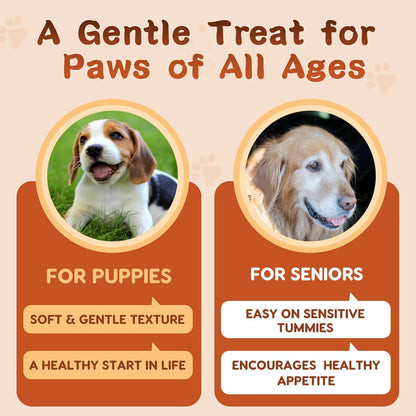 Authentic imported Zebora pet care supplement packaging for healthy coat and gut function.