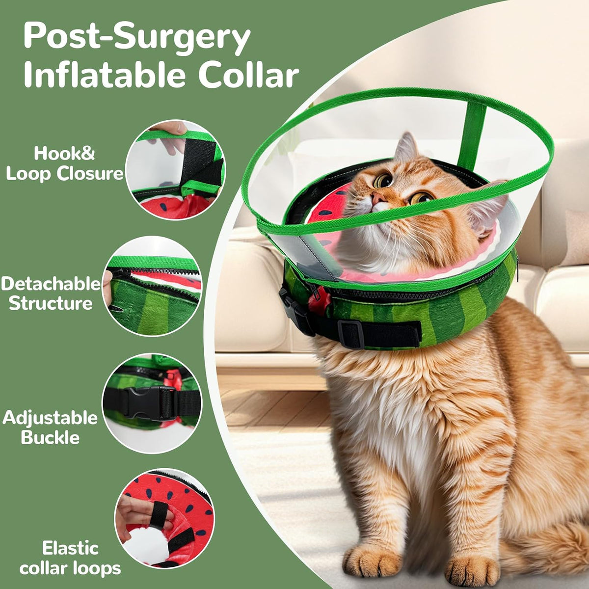 Seektik adjustable recovery collar with clear shield attached