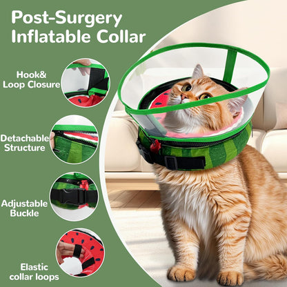 Seektik adjustable recovery collar with clear shield attached