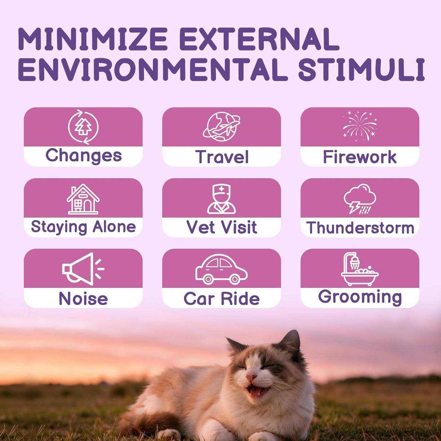 Cat calming spray bottle displaying clear directions and ingredients list