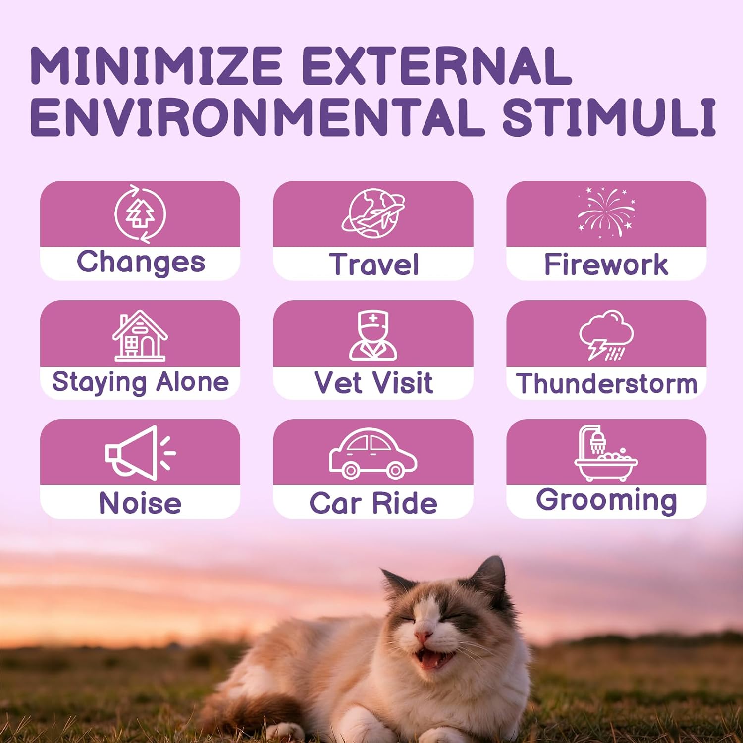 Cat calming spray bottle displaying clear directions and ingredients list