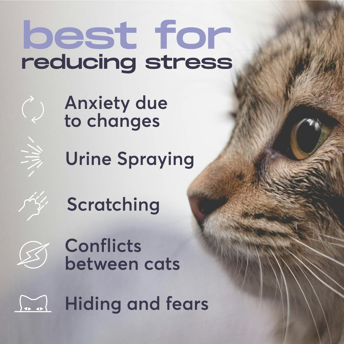 Buddyjoy pet calming plug-in unit inserted into a home wall outlet for anxiety relief.