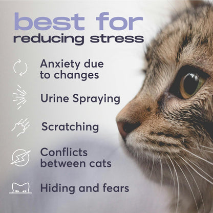 Buddyjoy pet calming plug-in unit inserted into a home wall outlet for anxiety relief.