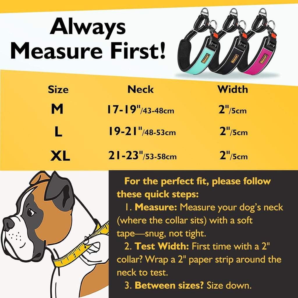 Mayerzon anti pull training dog collar displaying the heavy duty quick release safety buckle