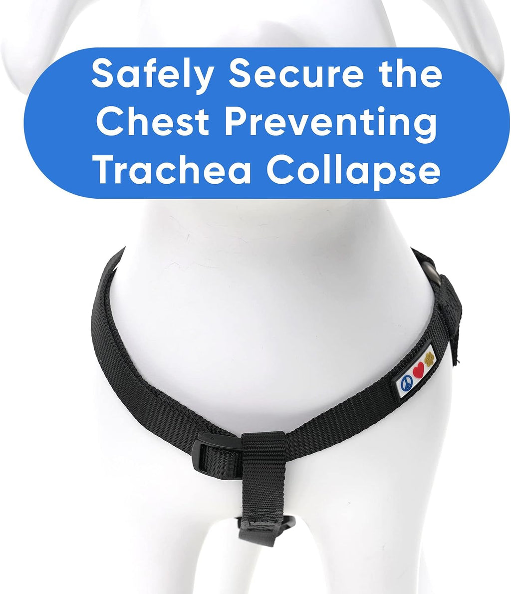 Pawtitas extra small dog harness buckle detail