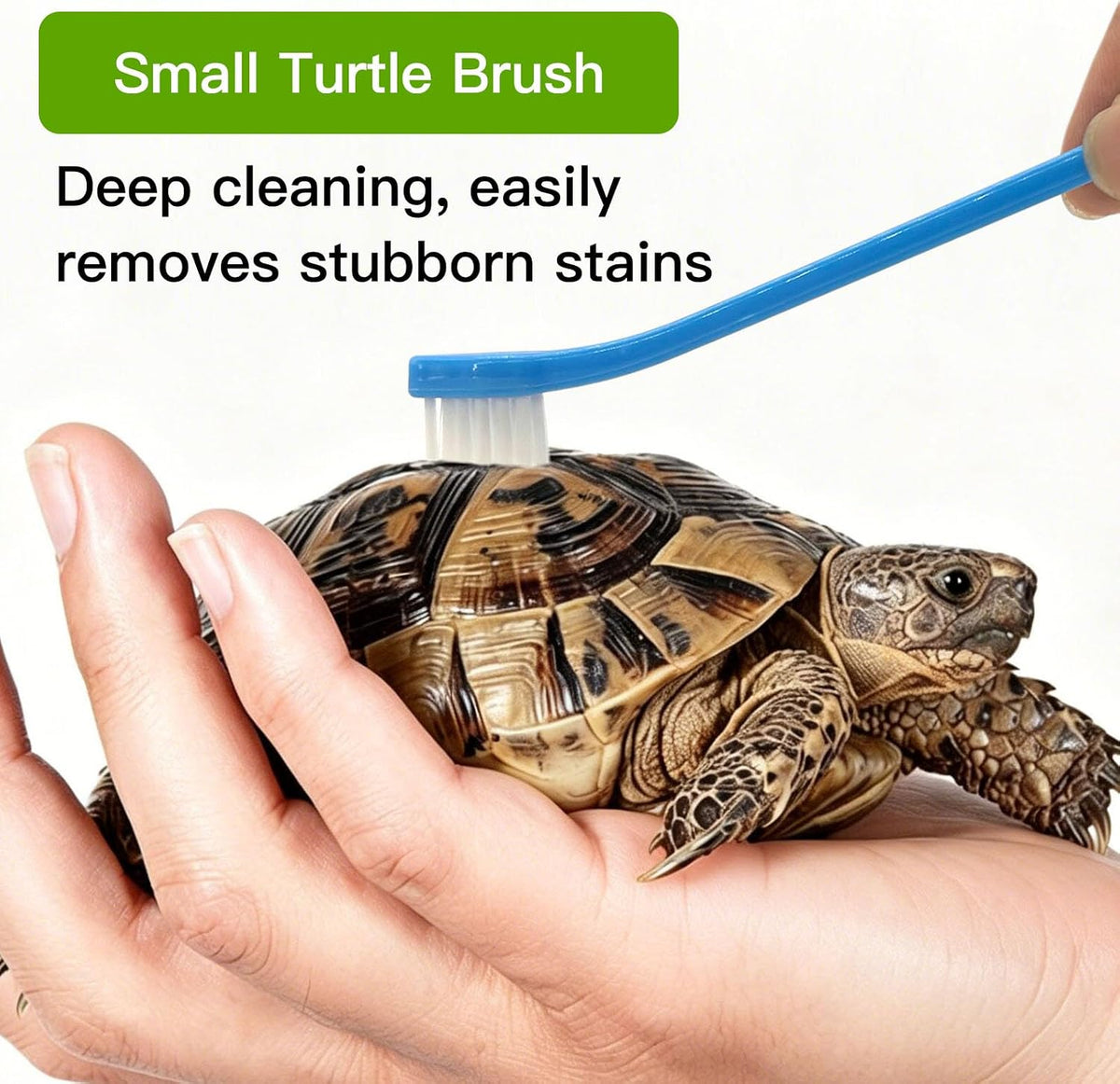 Aquatic turtle tank accessories kit with non slip handle design