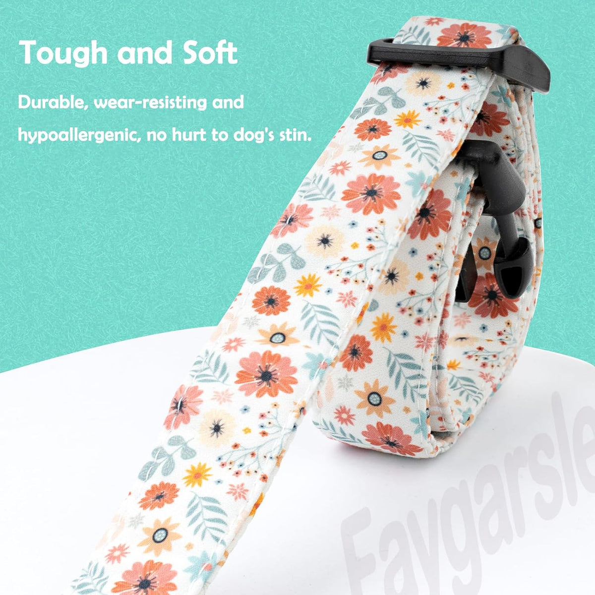Faygarsle designer dog collar for female dogs on a small breed