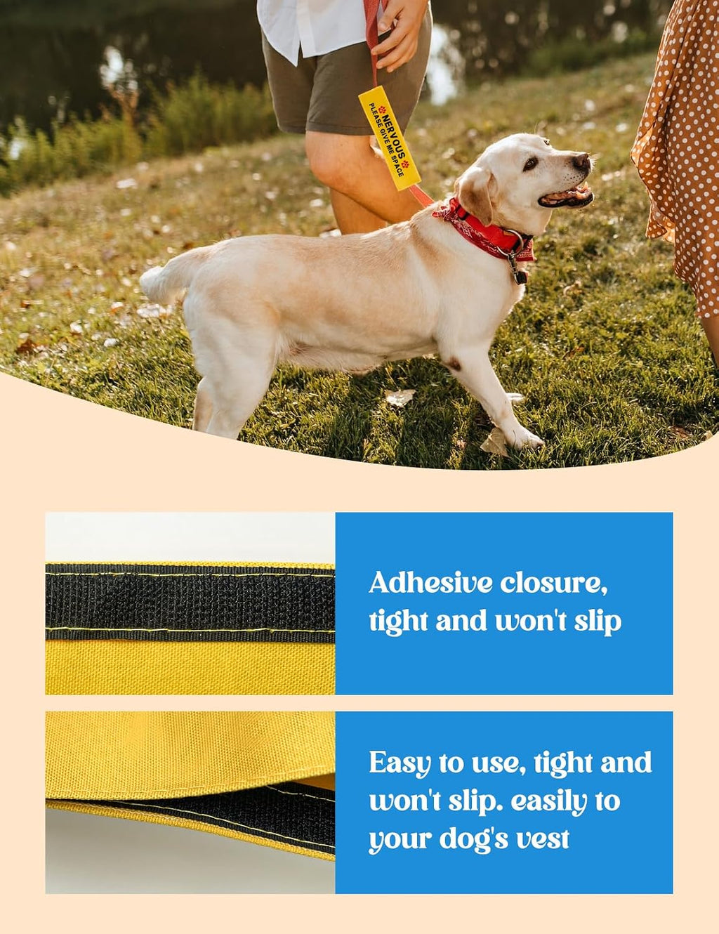 Anxious dog walking with yellow warning leash sleeve