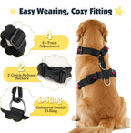 Pawaboo safety harness attachment to car seat belt