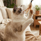 Fengek elegant white pet jewelry collar packaged for gifting to pet lovers.