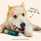 Instructions for using Woof BullySafe stick holder