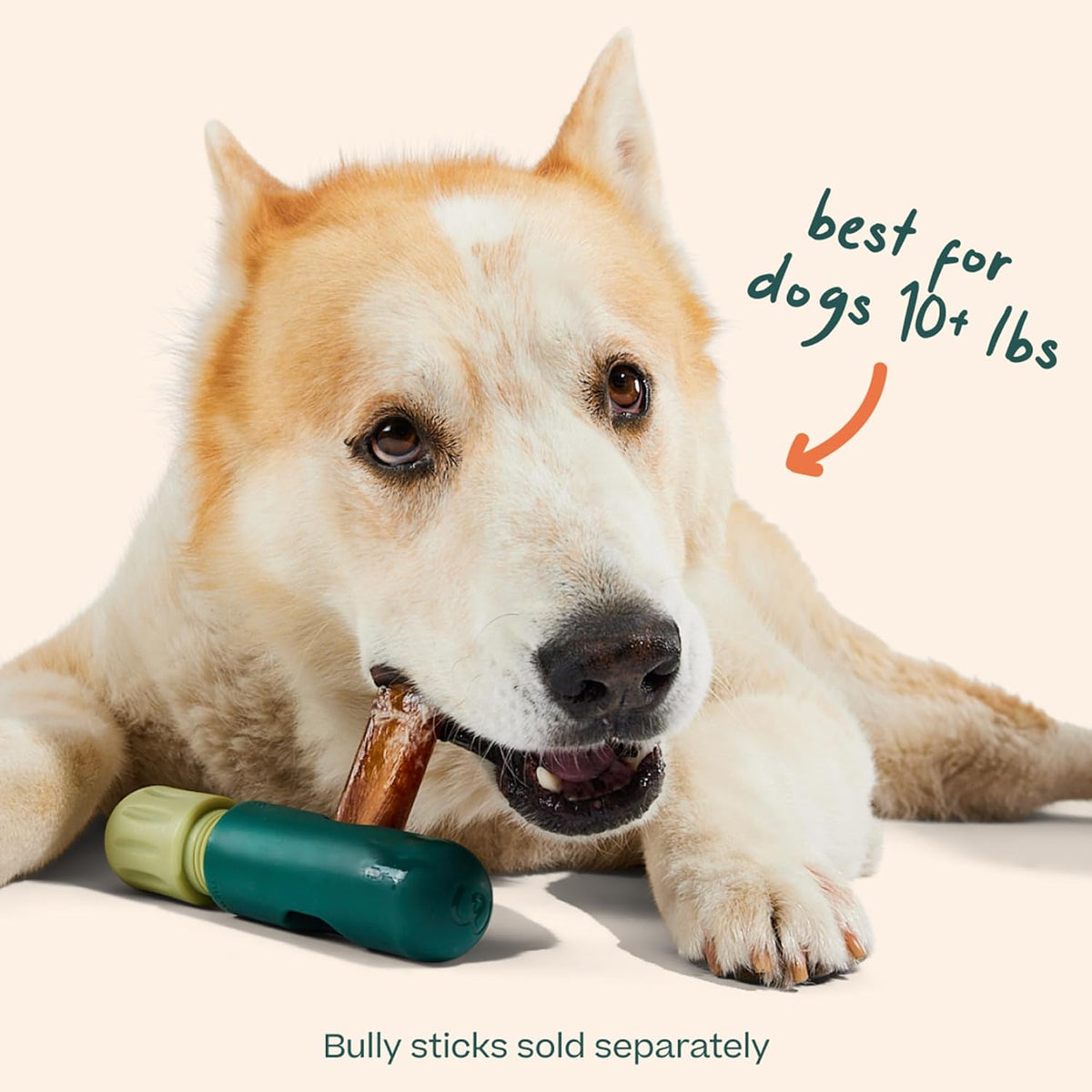 Instructions for using Woof BullySafe stick holder