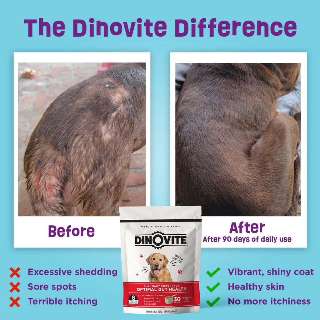 Dinovite dog skin and coat support formula with omega three
