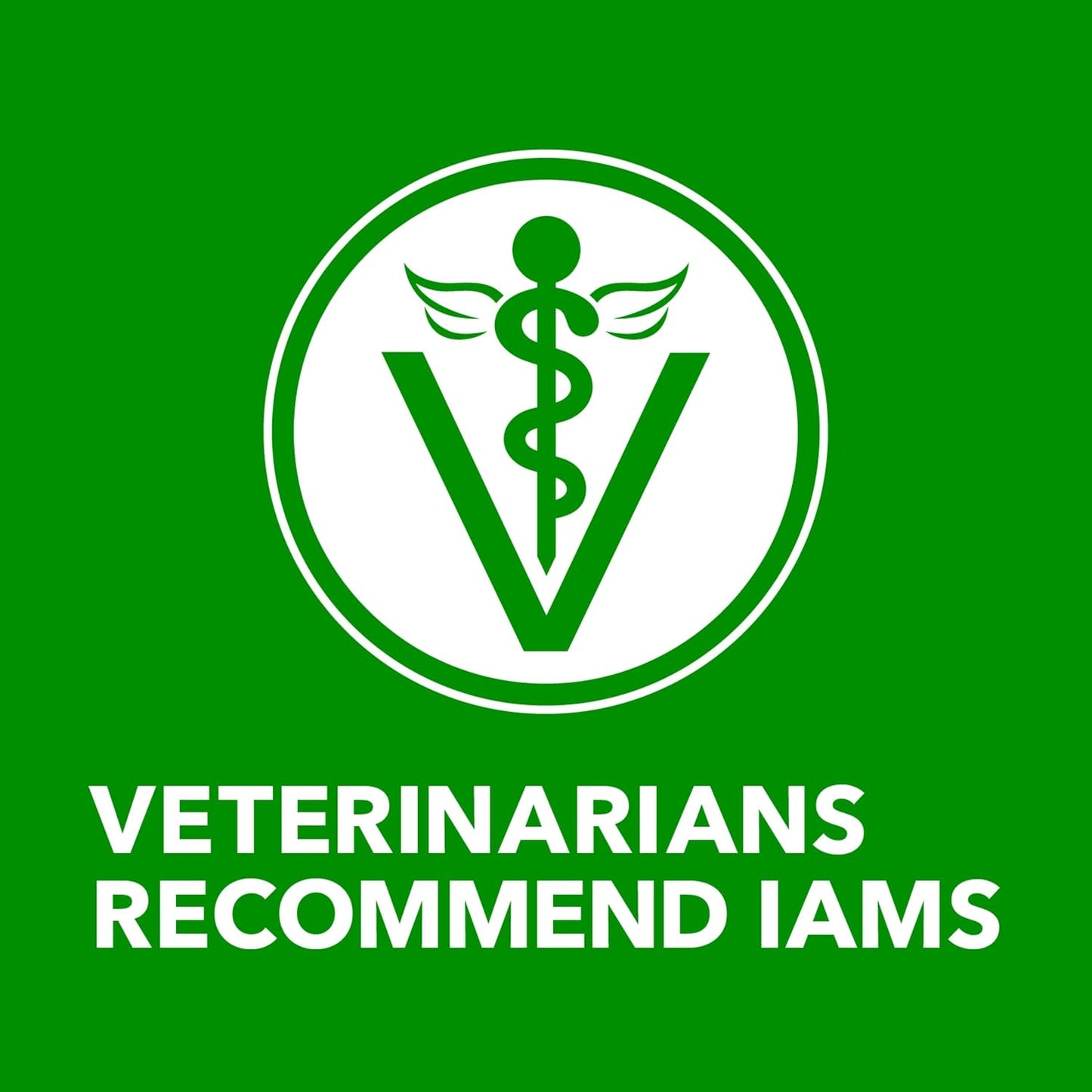 IAMS Proactive Health Wet Dog Food, Adult Wet Dog Food Multipack Ground Dinner, with Chicken & Rice, 13 oz. Cans (Pack of 12) - Image 9