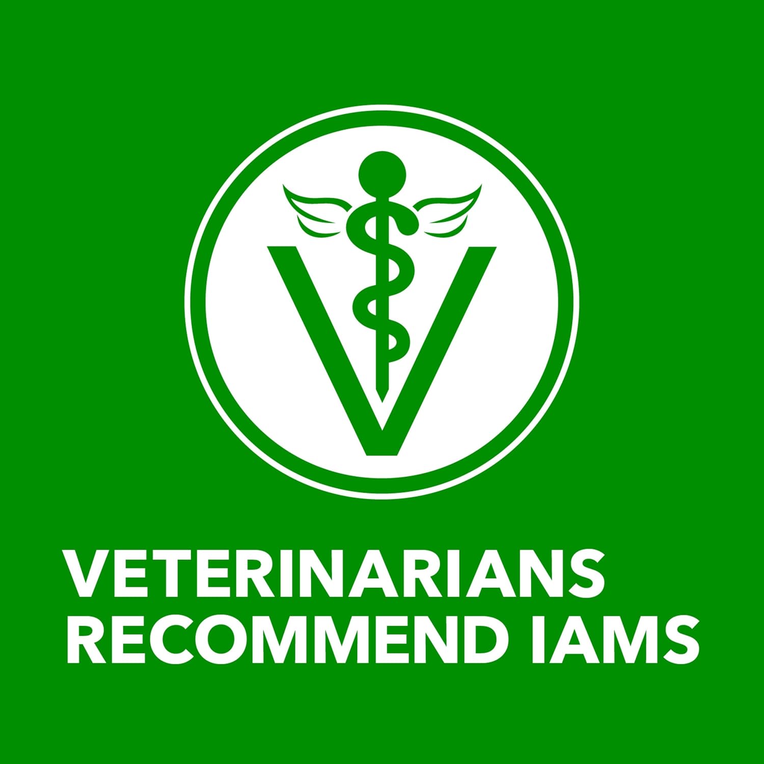 IAMS Proactive Health Wet Dog Food, Adult Wet Dog Food Multipack Ground Dinner, with Chicken & Rice, 13 oz. Cans (Pack of 12) - Image 9