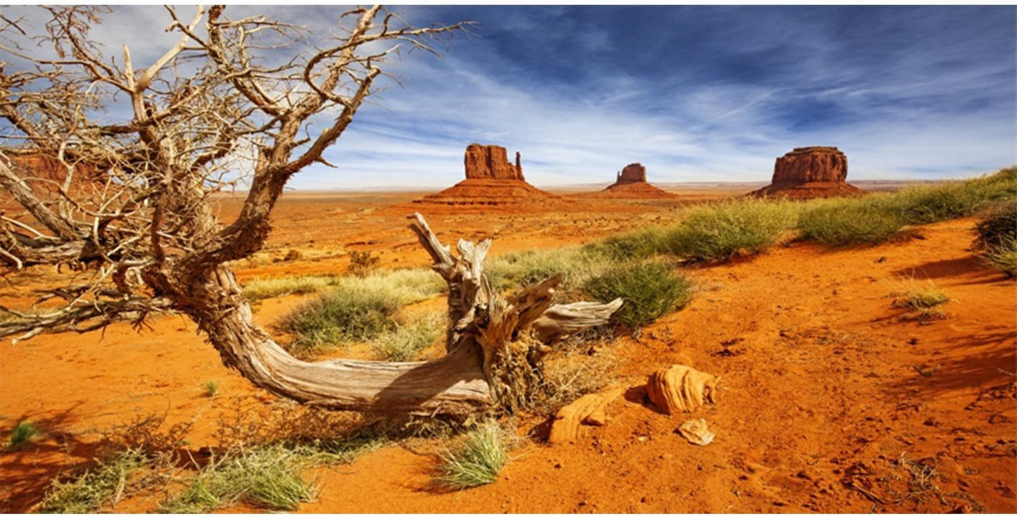 AWERT reptile habitat background orange desert terrarium front view