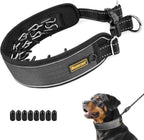 Mayerzon no pull collar on a dog for size perspective