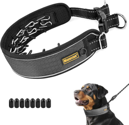 Mayerzon no pull collar on a dog for size perspective