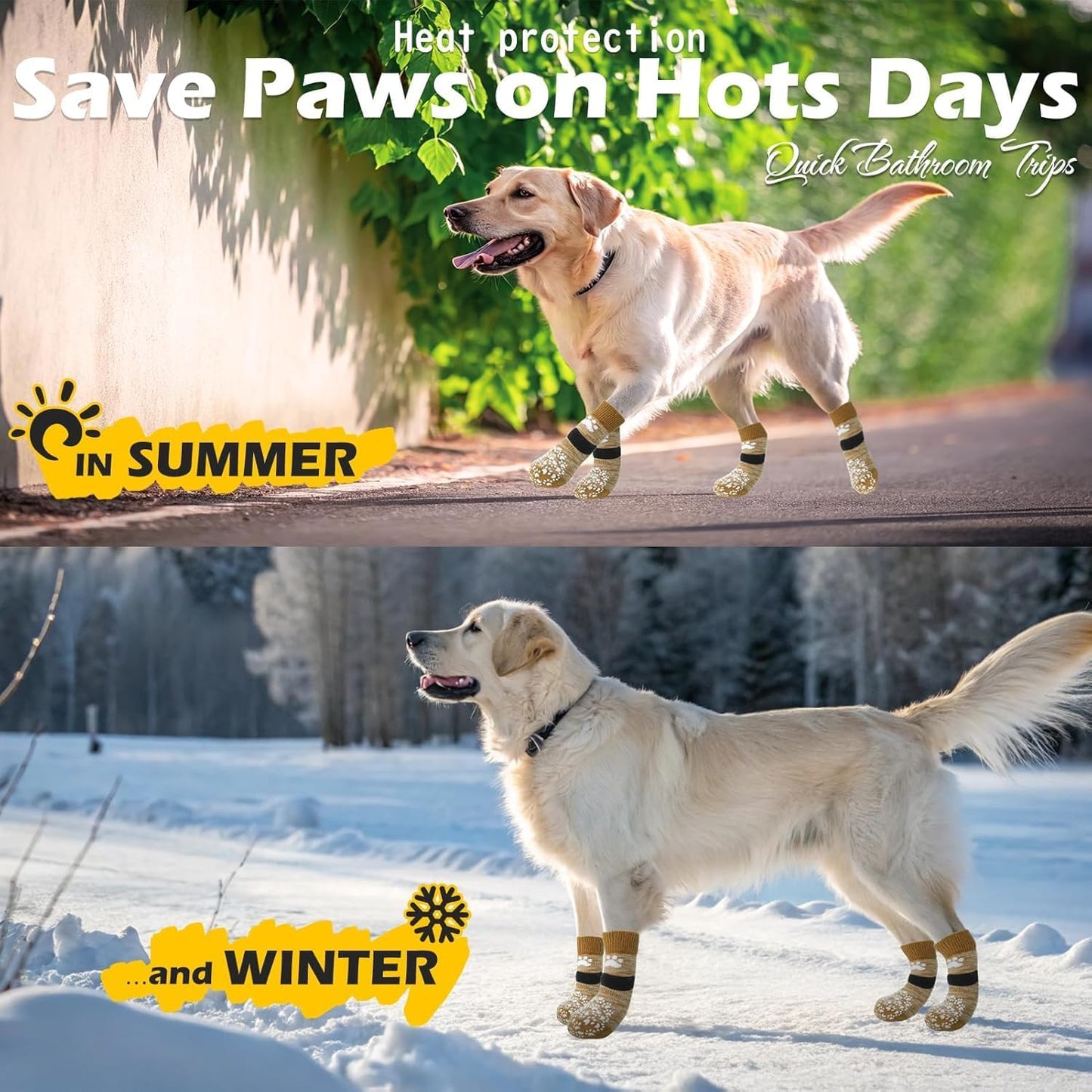 Senior dog standing confidently with paw protectors