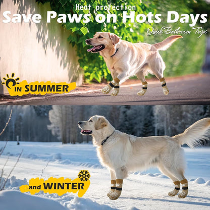 Senior dog standing confidently with paw protectors