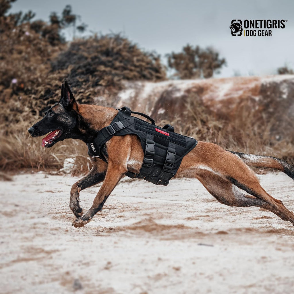 Top view showing control handles on dog harness