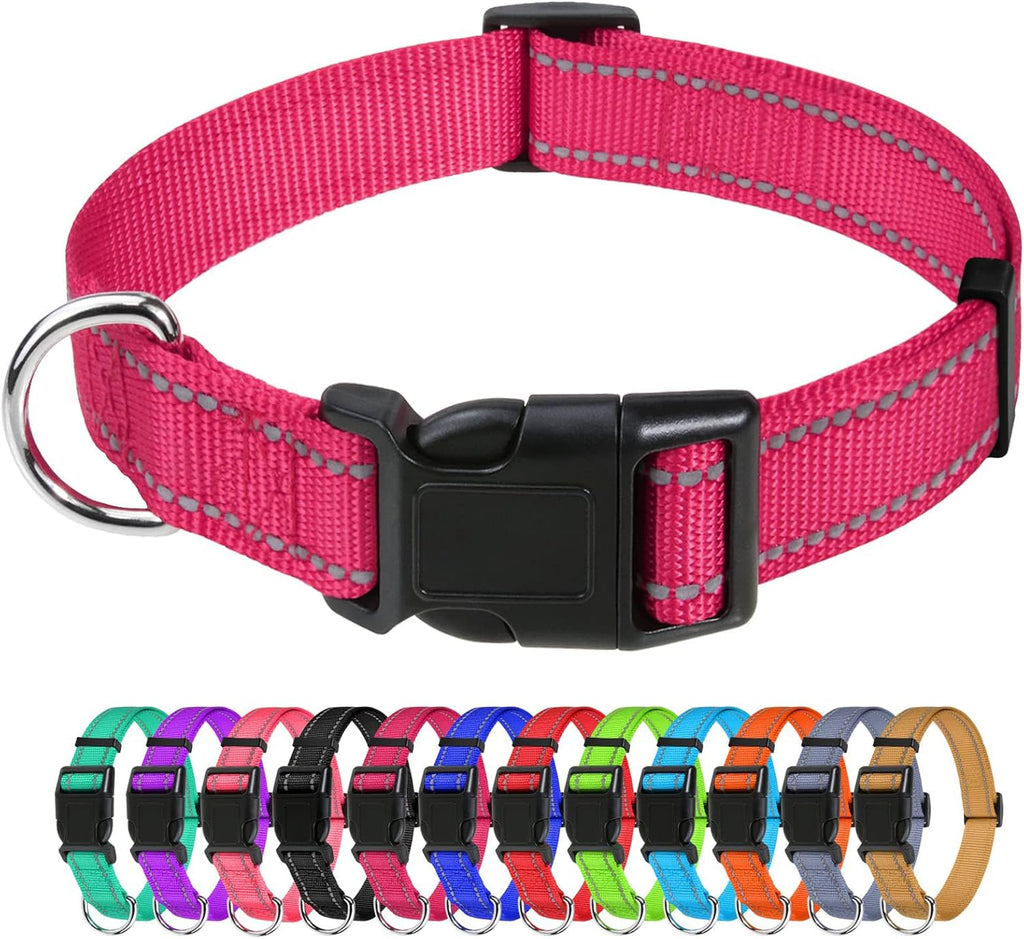 TagME Dog Collars for Small Dogs, Reflective Nylon Pet Collar with Quick Release Buckle, Small Dog Collar for Boys, Sky Blue, 3/8" Width - Image 14