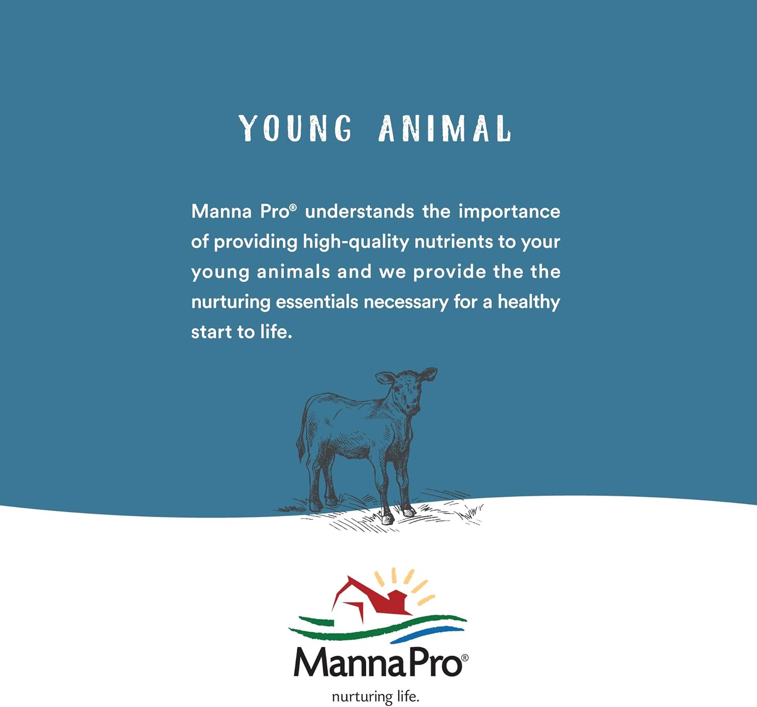 Manna Pro Lexol smooth light colored leather treatment non greasy formula