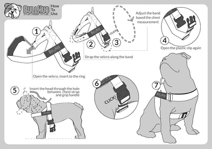 Bullhug dog harness fast release buckle detail